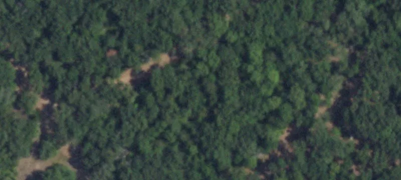 Updated Rural Acreage with Residence