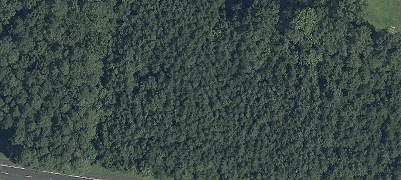 Specialty Land Parcel with Road Frontage