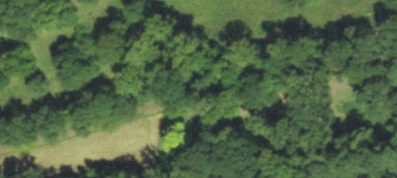 Recreational Hunting Land