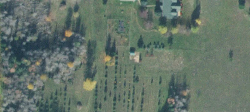 Rural Parcel with Fenced Pasture