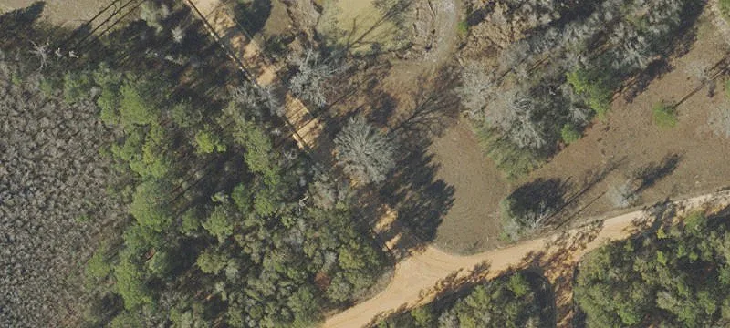 Recreational Hunting & Farm Tract