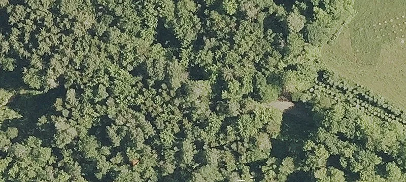 Off-Grid Recreational Land