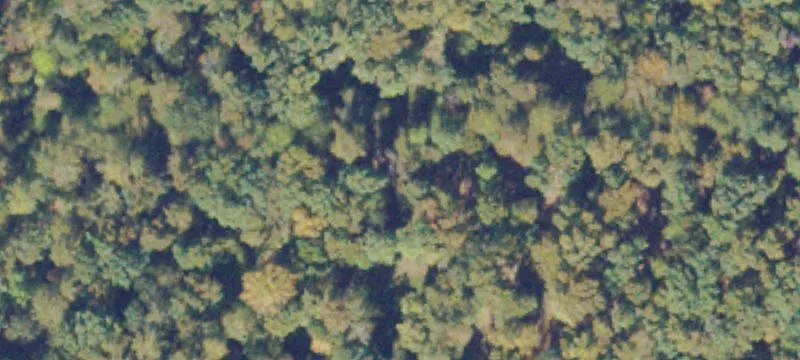 River Road Development Land