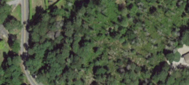 Wooded Estate Land on Hill