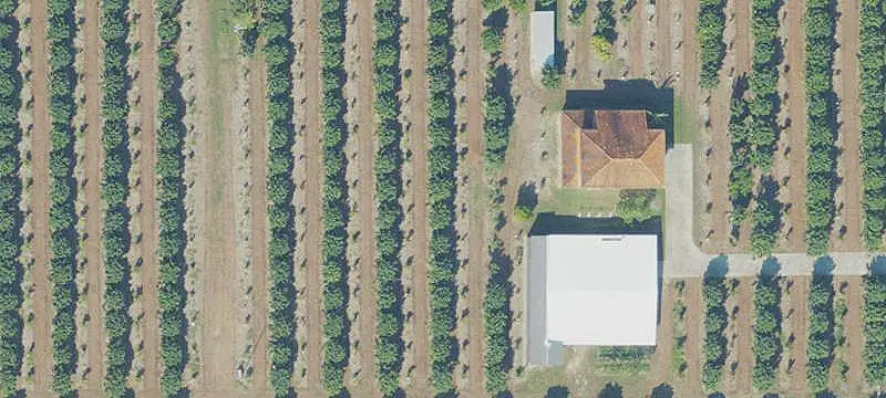 Turnkey Longan Farm Property