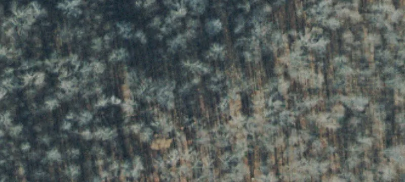 Agricultural Land Parcel