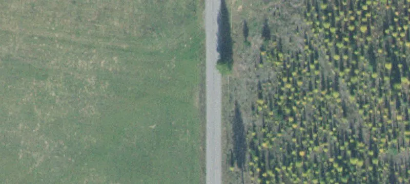 Build-Ready Wooded Homesite Acreage