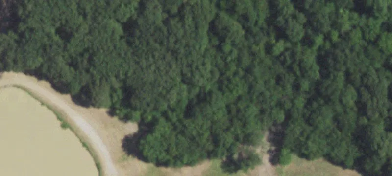 Privately Gated Ranch with Horse Barn