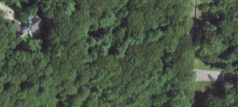 Wooded Farmland Parcel
