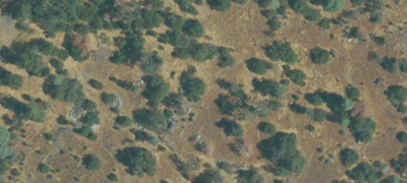 Ranch Property with Year-Round Creek