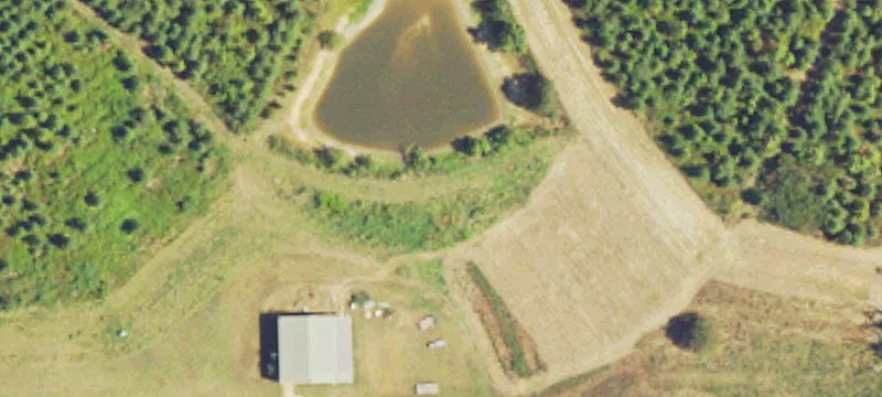 Residential Development Land with Timber