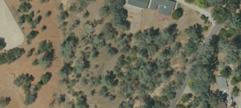 Treed Residential Land Parcel