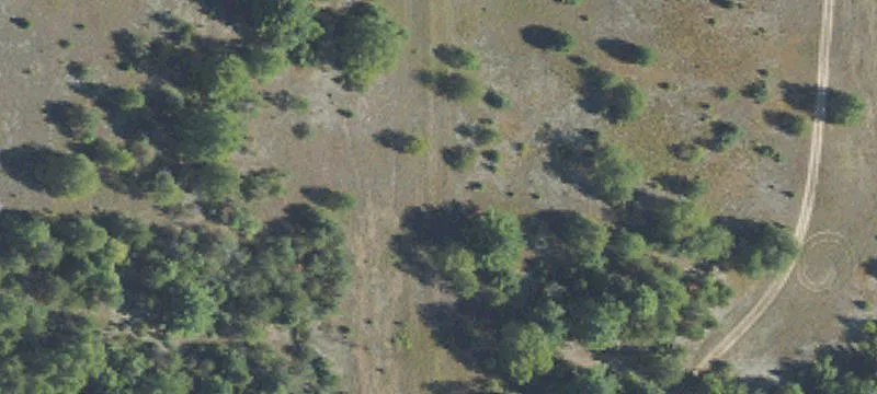 Wooded Recreational Land Parcel