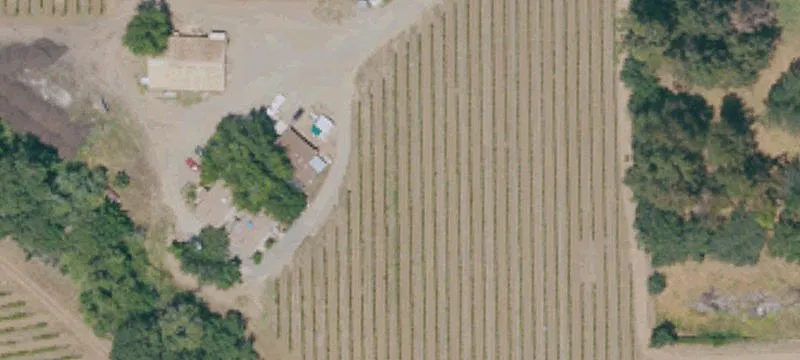 Vineyard and Farm Property