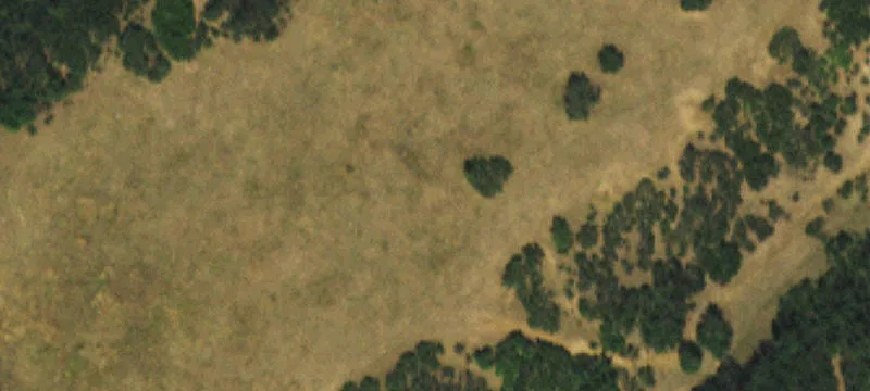 Agricultural Land Parcel