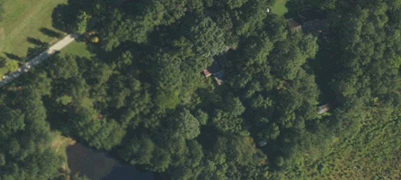Wooded Residential Building Lot