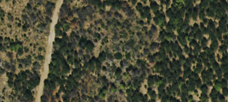 Wooded Mountain View Land