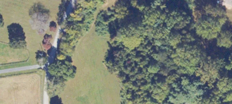 Curved-Frontage Residential Land Parcel