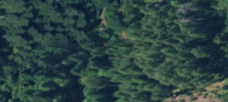 Waterfront Homesite with Timber Backdrop