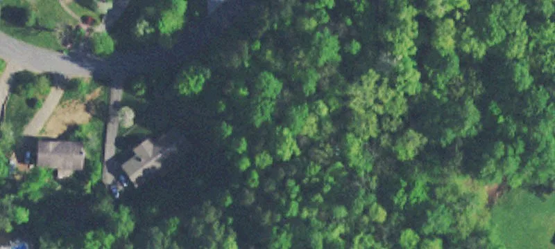 Wooded Cul-de-Sac Home Lot