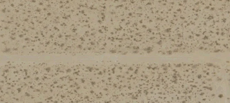 Desert View Land with RV Septic