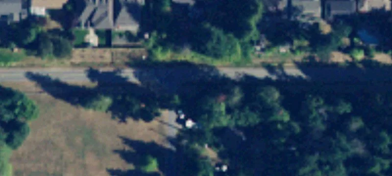 Treed Residential Development Lot