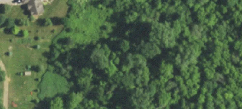 Wooded Residential Development Lot