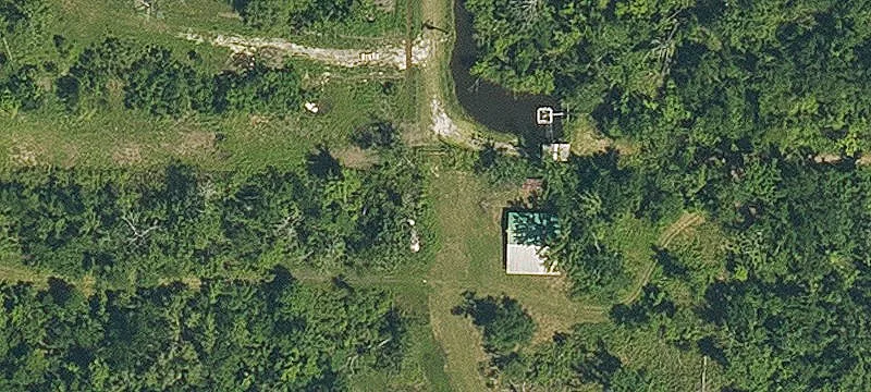 Heavily Wooded Hunting Land