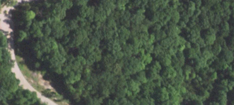 Gated Community Wooded Home Lot
