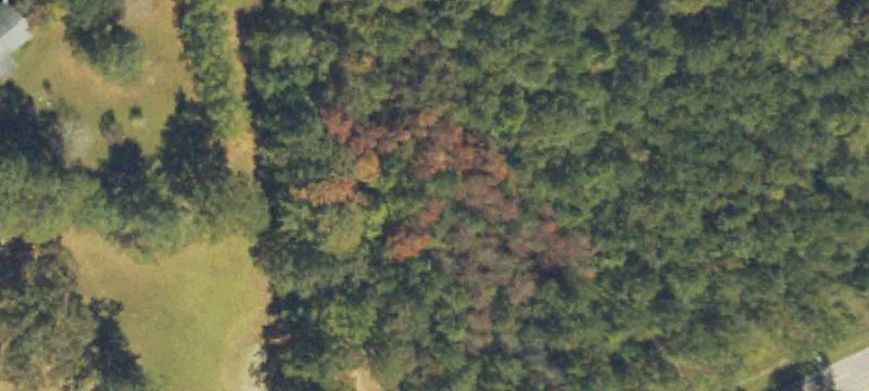 Residential Development Land Acreage