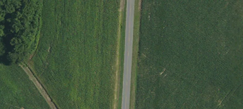 Mostly Cleared Acreage Parcel