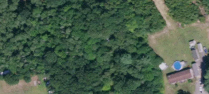 Partially Cleared Residential Lot