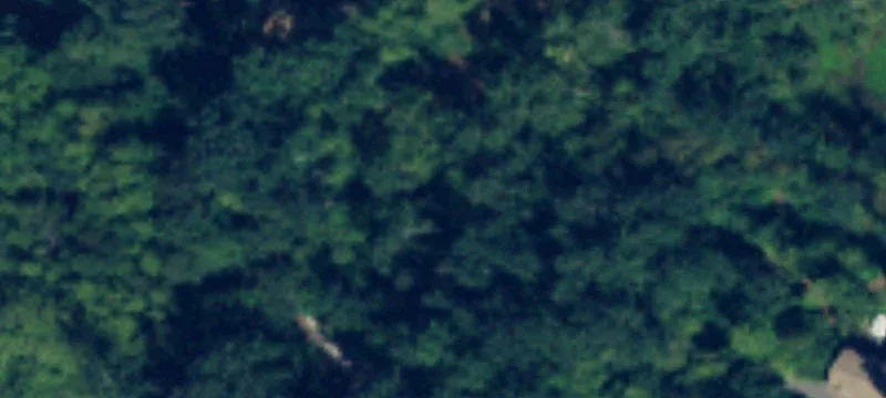 Wooded Private Land Parcel