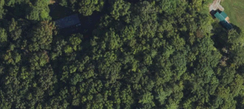 Wooded Acreage with Multiple Homesites