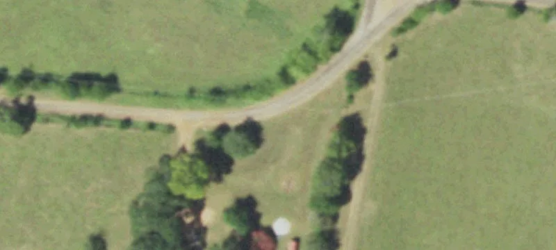 Timberland with Improved Pasture