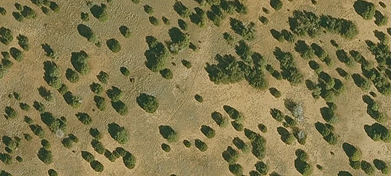 Secluded Buildable Land Parcel