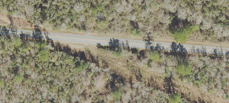 Timber Land with Dual Road Access