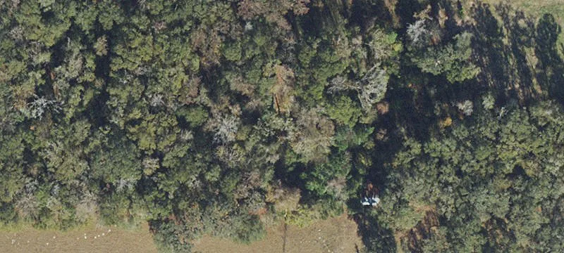 3+ Acre Residential Development Lot
