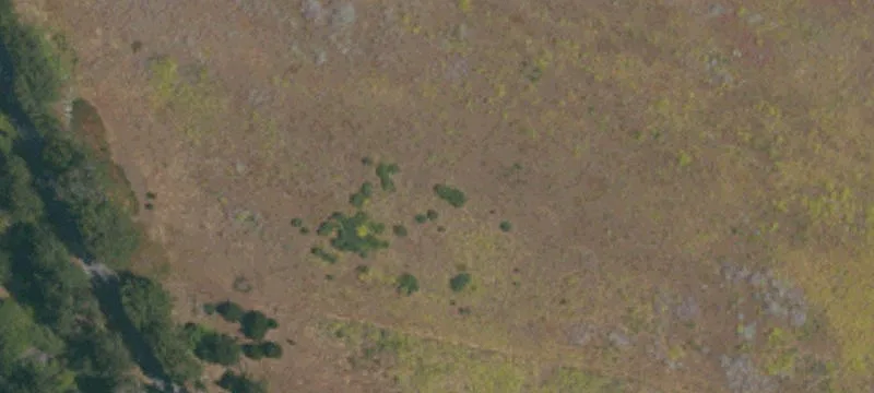 Oceanside Agricultural Estate