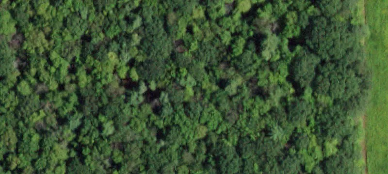 Estate Land Parcel with Panoramic Views