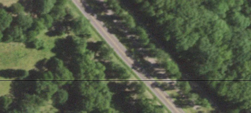 Timber Hunting Tract with Homestead