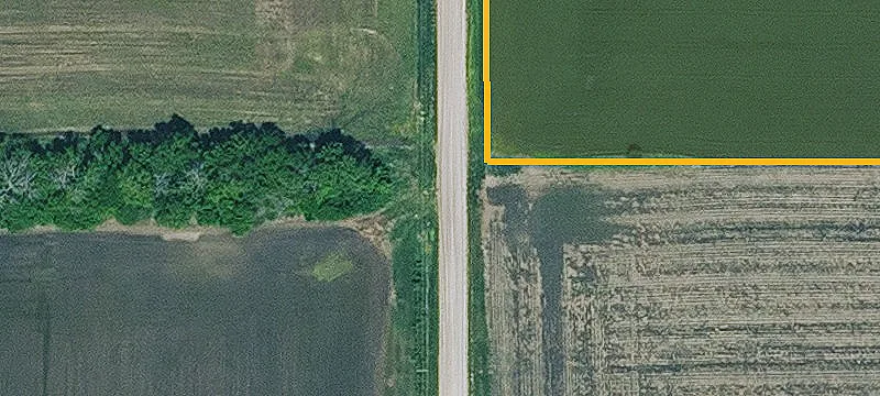 Rural Hunting Tract with Pond