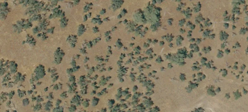 Ranch Property with Highway Frontage