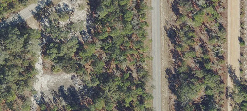 Residential Wooded Lot