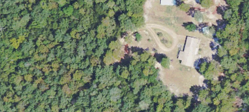 Residential Land Parcel with Trees