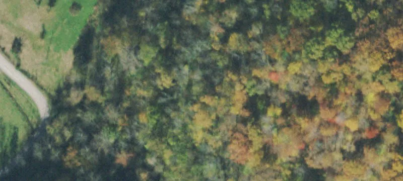 Country Acreage Land Parcel