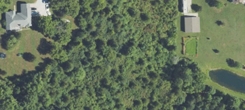 Wooded Residential Development Land
