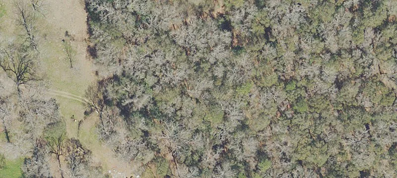 Rural Timber & Recreation Land