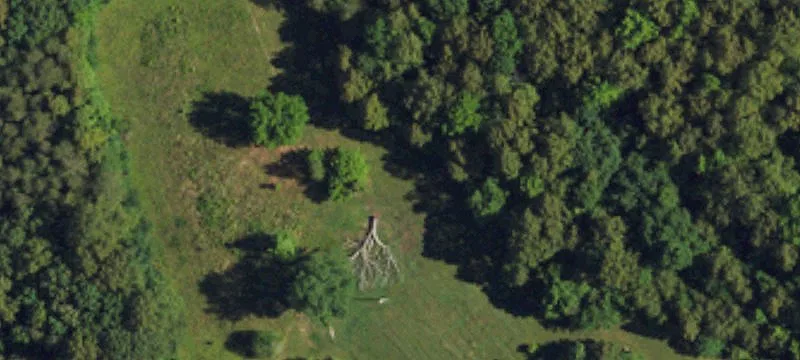 Hunting Land with Creek Boundary