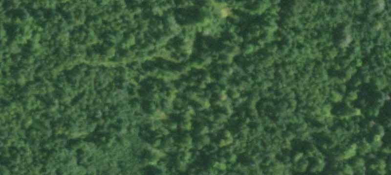 Vacant Residential Lot with Privacy